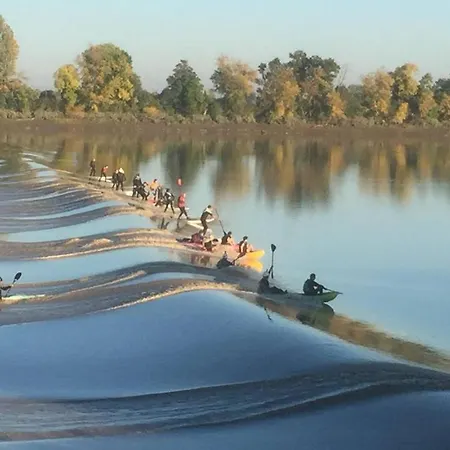Le Cast'l 2 Coin De Paradis En Bord De Dordogne * La Riviere (Gironde)